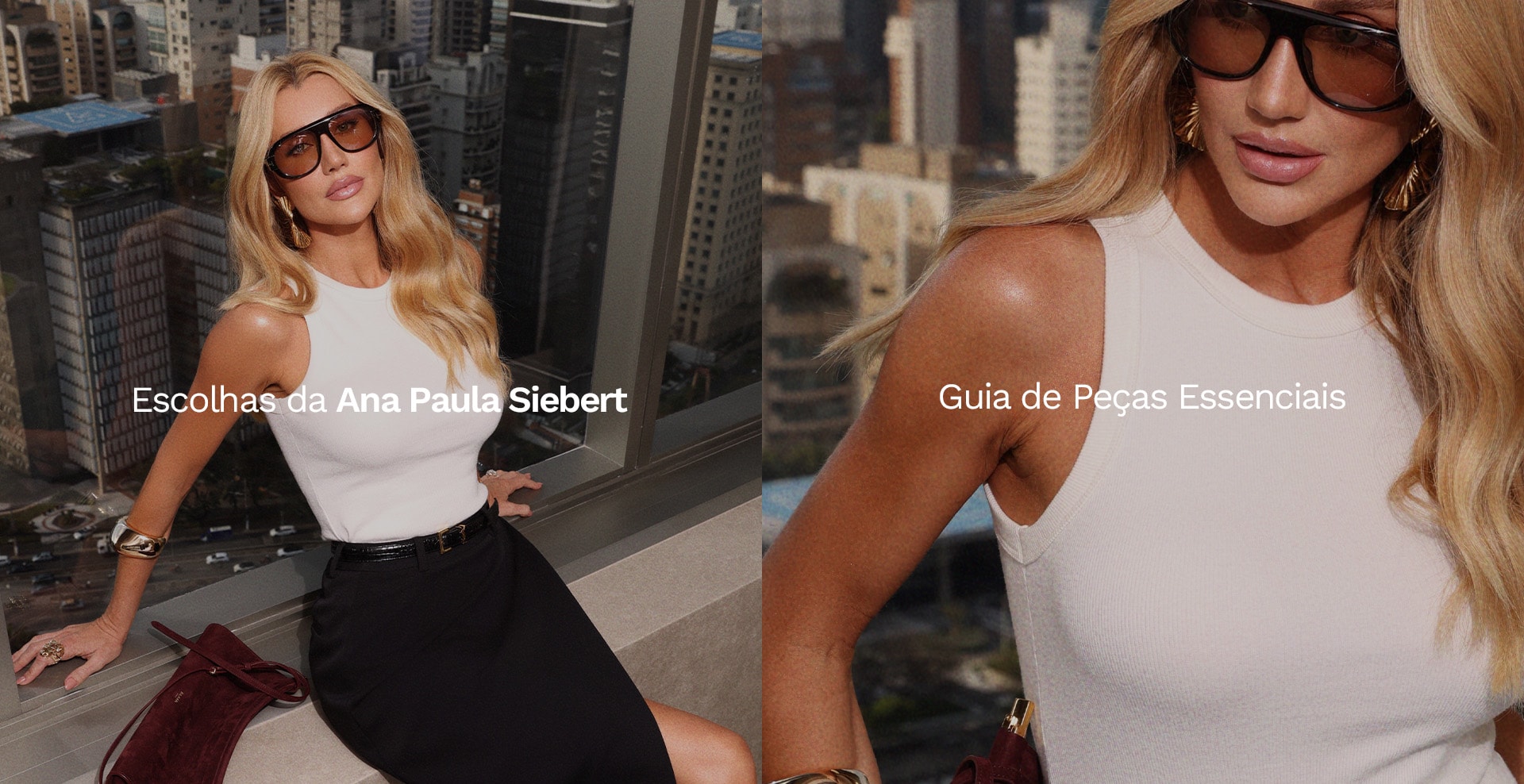 Escolhas Ana Paula Siebert 